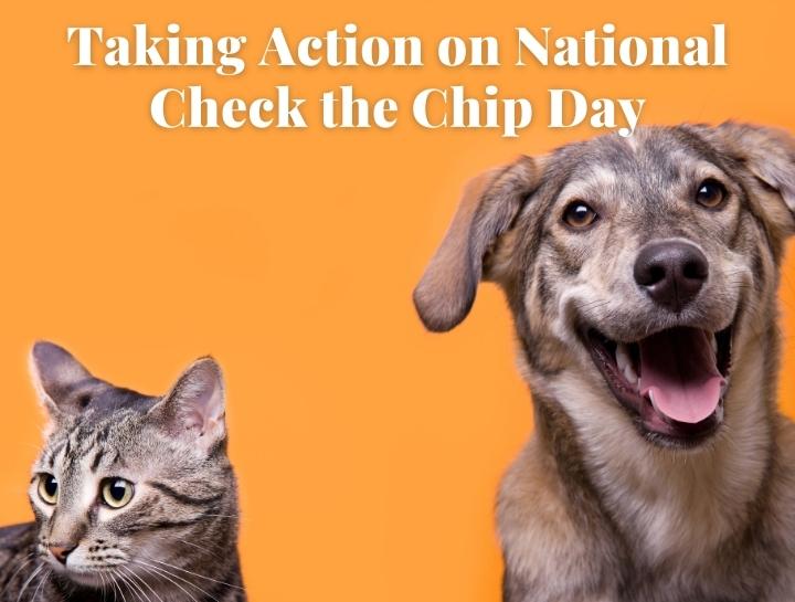 Taking Action on National Check the Chip Day