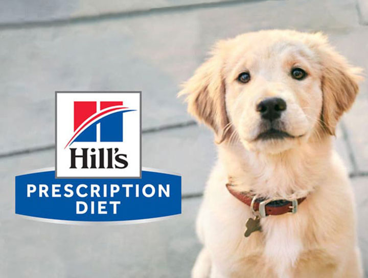 Hill's Prescription Diet Updates