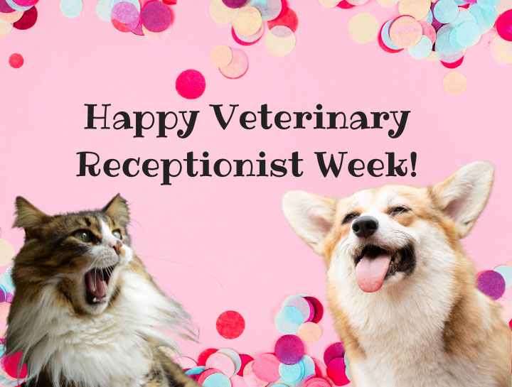 Happy Veterinary Receptionist Week